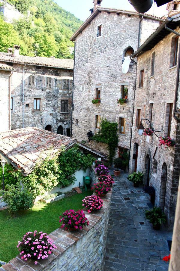 Red House Daire Gubbio Dış mekan fotoğraf